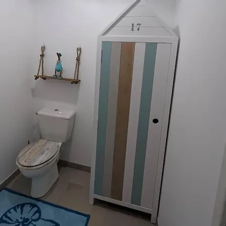 Magnifique T3 A 50 M Du Bassin * Lanton