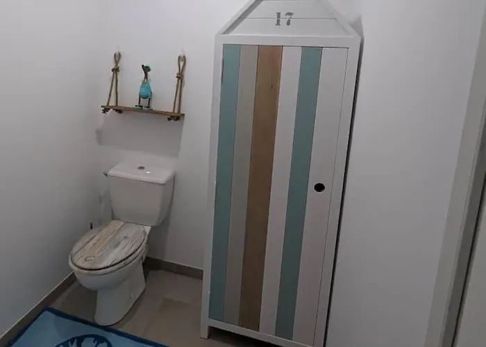 Magnifique T3 A 50 M Du Bassin * Lanton